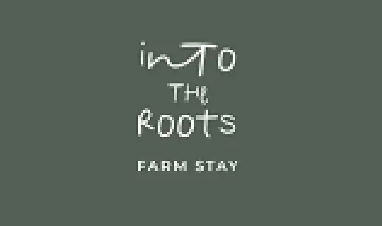 into_the_root